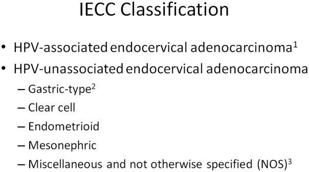 International Endocervical Adenocarcinoma Criteria And Classification Iecc A New Pathogenetic 2279