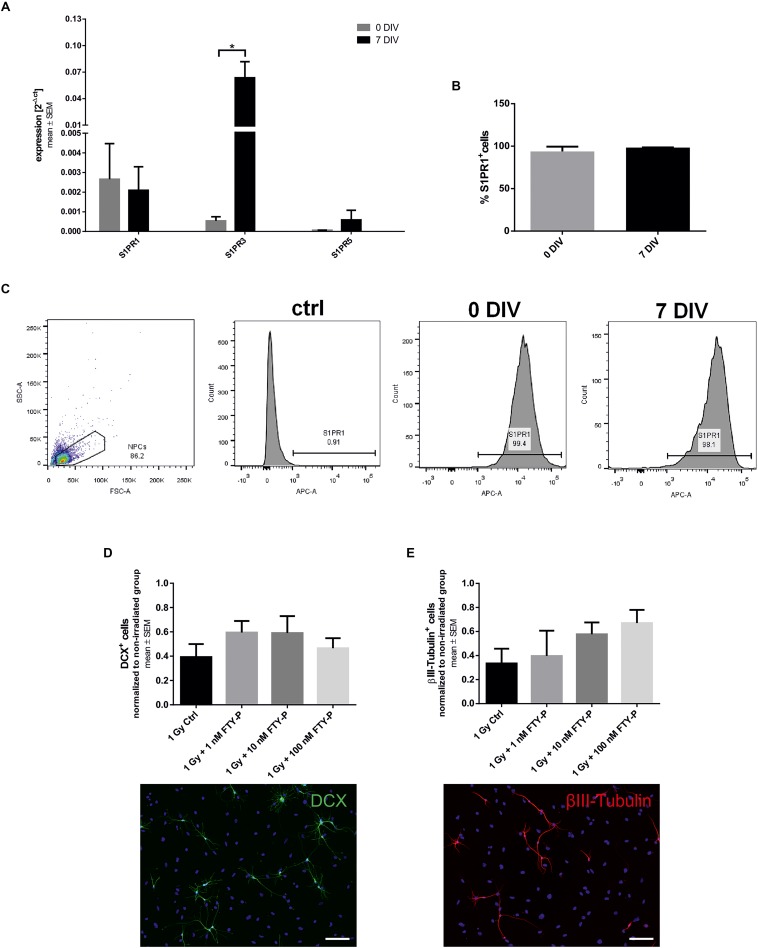 FIGURE 1