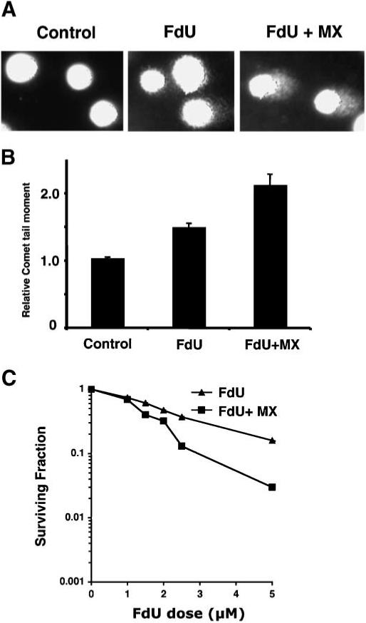 Fig. 6