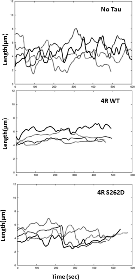 FIGURE 4.