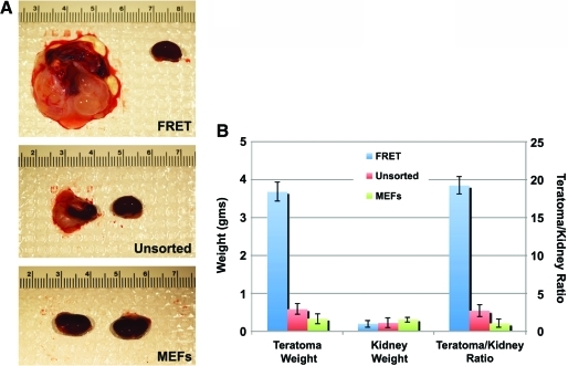 FIG. 6.