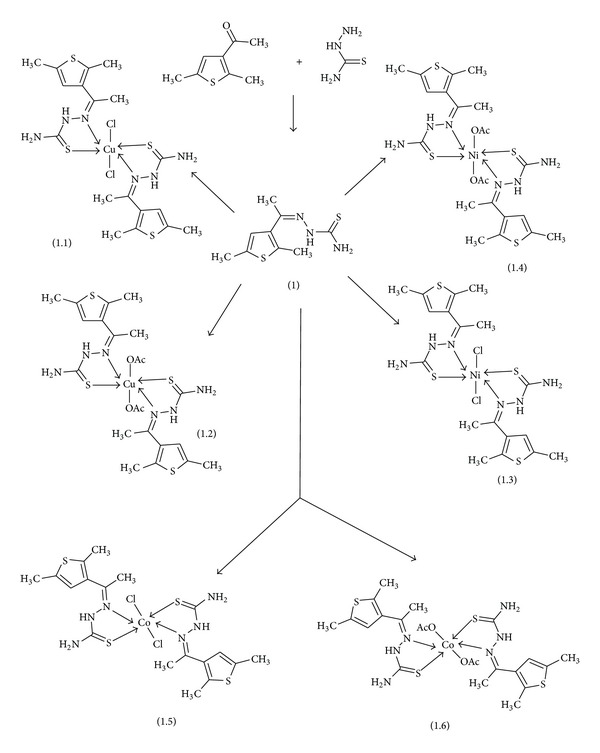 Scheme 1