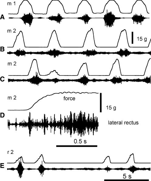 Fig. 2