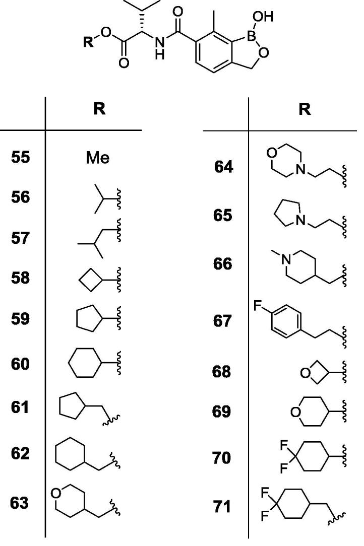 Fig. 8