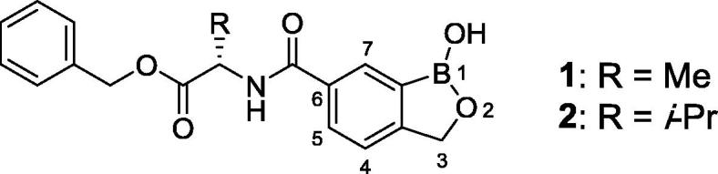 Fig. 1