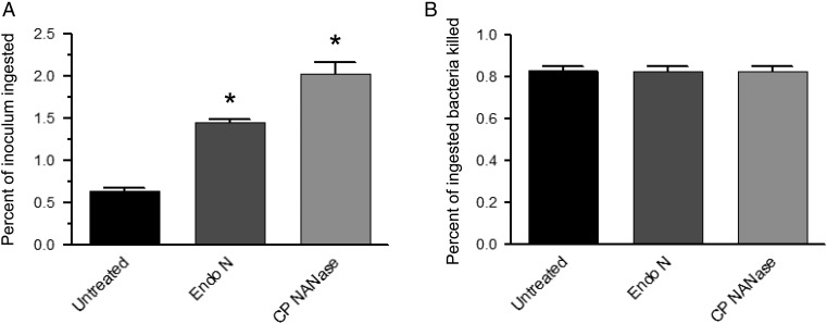 Fig. 9.