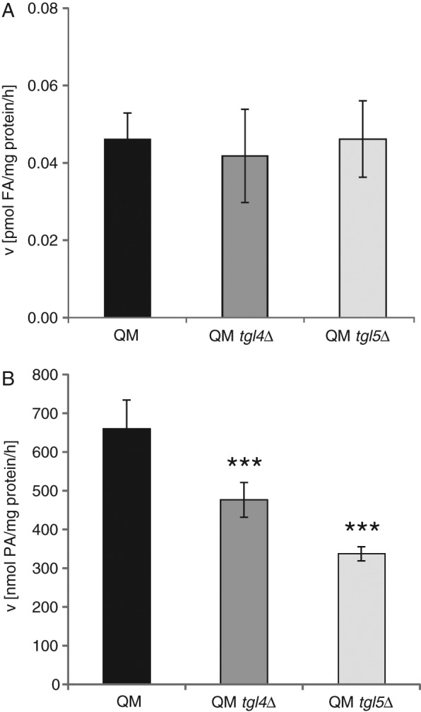 FIGURE 6: