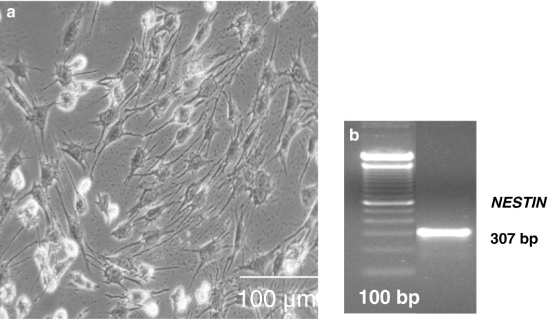 Fig. 4