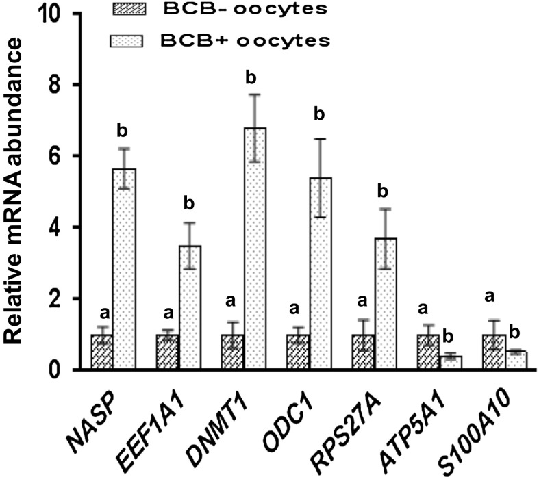 Fig. 7