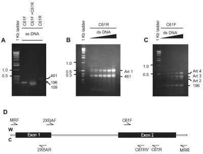 FIGURE 3