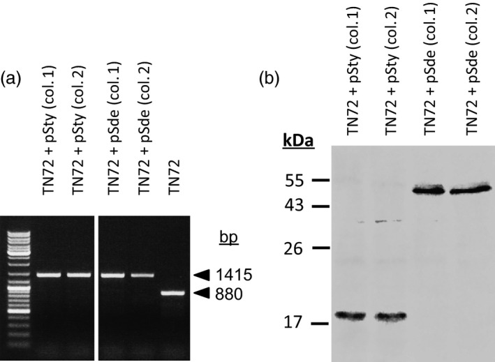 Figure 5