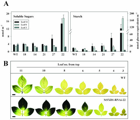 Figure 3.