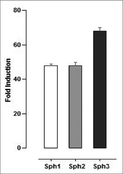 FIGURE 4