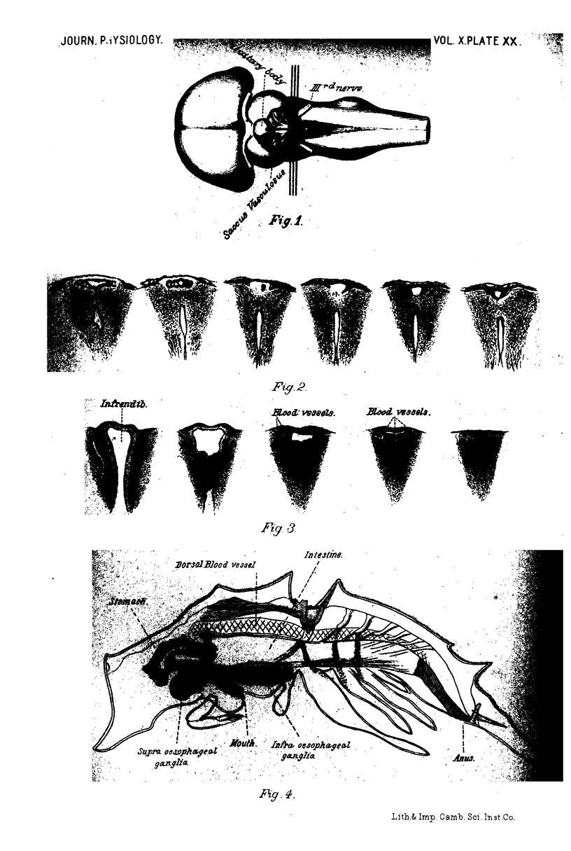 212-9