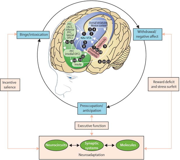 Figure 1: