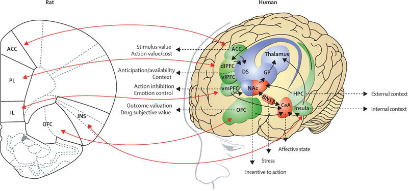 Figure 2: