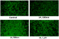 Figure 13.