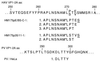 FIG. 9