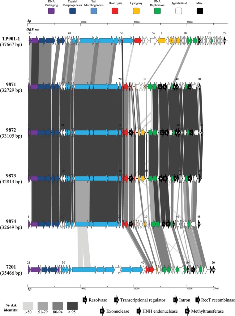 FIG 1