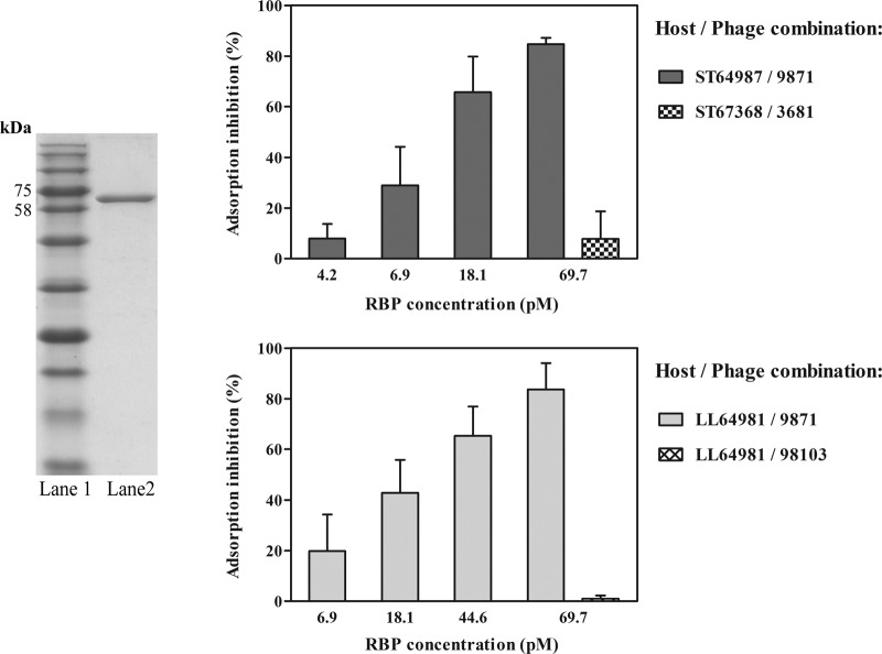 FIG 6