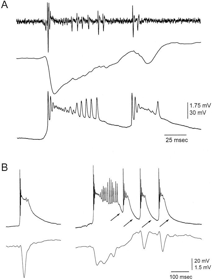 Fig. 8.