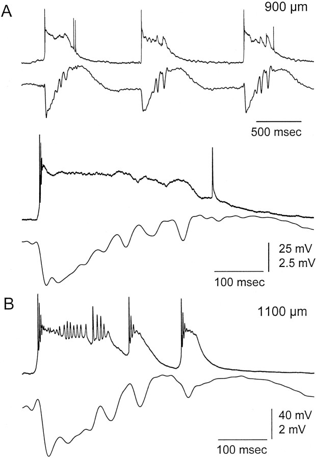 Fig. 9.