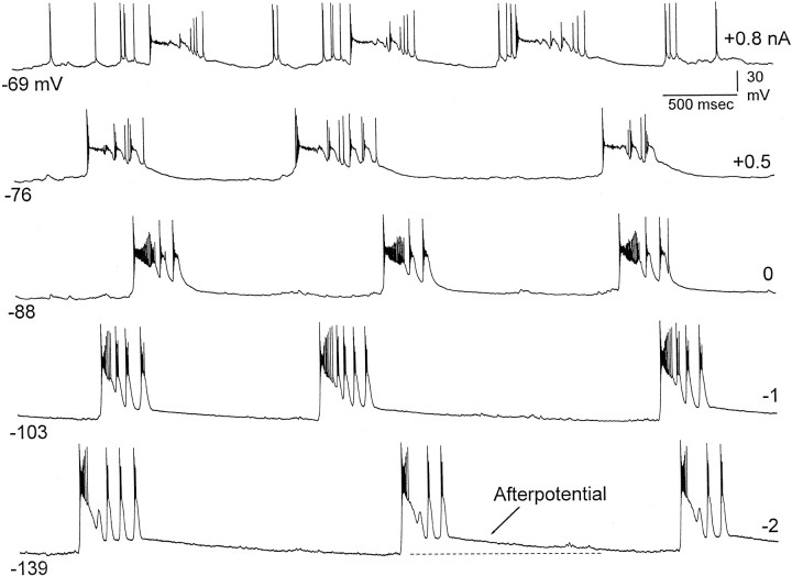 Fig. 10.