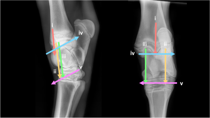 Fig. 26