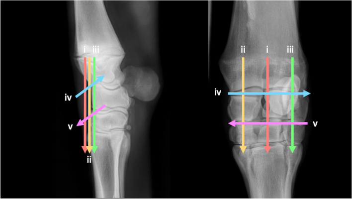 Fig. 23