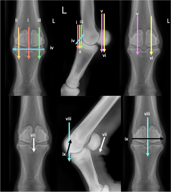 Fig. 24