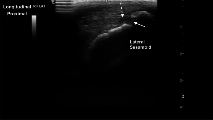 Fig. 10