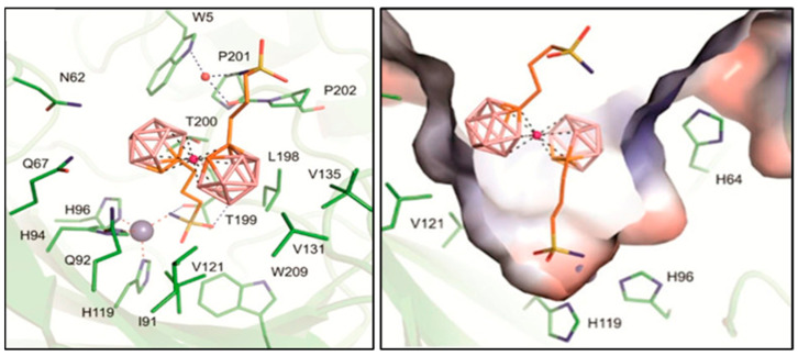 Figure 22