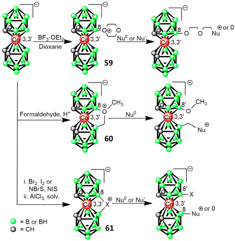 Scheme 16