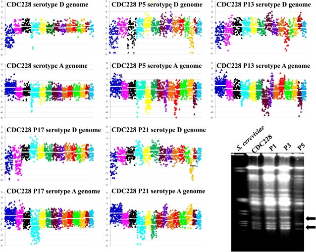 Figure 6 