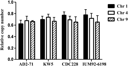 Figure 4 