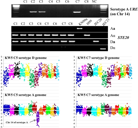 Figure 5 