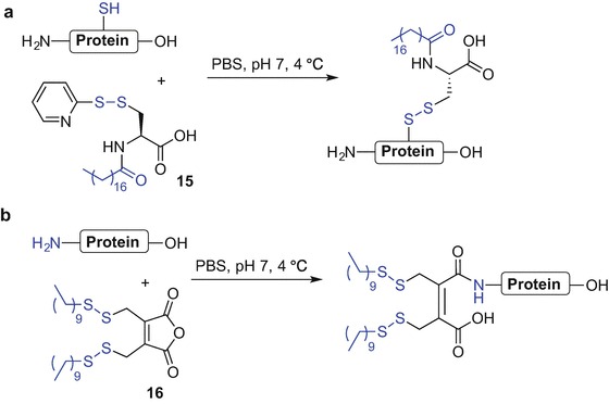 Scheme 9.1