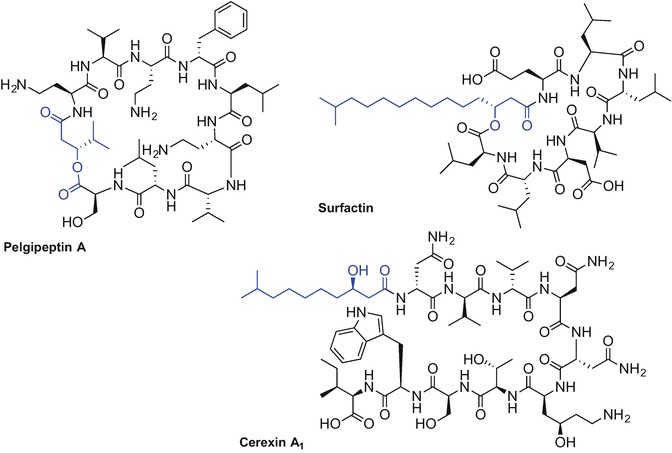 Fig. 9.3
