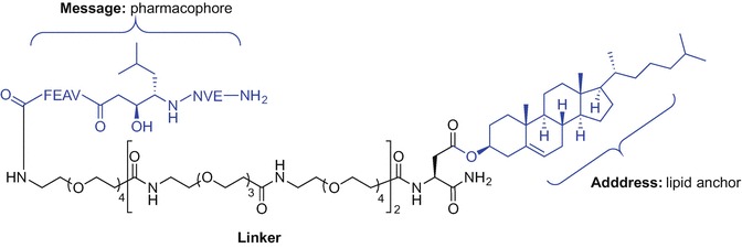 Fig. 9.11