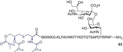 Fig. 9.13