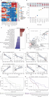Figure 5. Probing the CRPC spectrum in PDX models reveals an association between the PE score and transcriptional activity. A, Heat map of gene expression for 11 LuCaP PDX models profiled with NEMO. The reported gene signatures from Labrecque et al. (23) capture the expression of genes supporting the previously described subtype classification of CRPC. B, PE score estimation on the 11 selected PDX models. Top annotation: discretized activity of the reference signatures reported in A. CRPC subtypes are colored as in A. C, GSEA analysis based on the correlation coefficient between gene expression of every single gene and PE score in PDX models. Significant results (Padj < 0.05) for the Hallmark MSigDB collection are reported. NES: GSEA normalized enrichment score. D, Comparison of the Pearson correlation between gene expression and proximal DNA methylation for a selection of regions included in NEMO. The x-axis reports the correlation observed in a collection of PDX samples, whereas the y-axis reports the correlation obtained for the same region-gene pair in the WCDT cohort. Four selected genes of interest are highlighted in red.E, Visualization of the correlation between DNA methylation and gene expression in PDX samples and WCDT cohorts for INSM1, FASN, KLK3, and EZH2. The blue line and shaded regions represent the linear model fit and 95% CI, respectively. F, Kaplan–Meier overall survival analysis based on quantiles of EZH2 expression in the WCDT CRPC cohort. Samples with tumor content below 50% were excluded. Dashed lines indicate the median OS for each group. G, Kaplan–Meier overall survival analysis using the DNA methylation quantiles of the EZH2 associated as a proxy of EZH2 expression. The same samples of F are used.