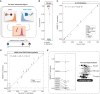 Figure 3. Inference of CRPC tumor content in circulation with a minimal set of informative regions. A, Schematic of the tumor content inference strategy. A set of informative regions with opposite and extreme DNA methylation values in WBCs and CRPC was used to estimate the tumor content in cfDNA samples, assuming that the nontumoral fraction of cfDNA is similar to the cfDNA methylation observed in healthy individuals. An iterative subsampling with only half of the informative regions produces a stability interval for the estimation. B, Tumor content estimation on a set of preclinical models, including cell lines, organoids, PDXs, and samples representative of the healthy cfDNA background (PBMC, healthy donors). C, Tumor content estimation on a set of serial dilutions based on preclinical models, pure cell lines, and cfDNA. PBMCs and plasma cell-free DNA from healthy donors (HD) are expected to be negative for tumor content. D, Tumor content estimation of CRPC ctDNA samples from a set of patients from the PRIME cohort. Genomic-based tumor content estimation was obtained by applying the PCF-SELECT panel to matched ctDNA samples collected at the same time point. E, Zoomed-in view of the low tumor content samples with discordant tumor content estimation between NEMO (based on DNA methylation) and PCF-SELECT (based on copy-number alterations and SNP allelic fraction). The statistical significance of an orthogonal per-read analysis based on alpha values of informative regions (see Methods) is reported near the sample.