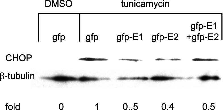 Fig. (4)