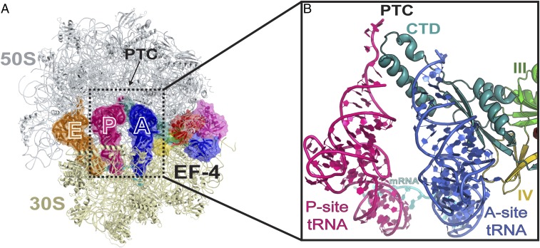 Fig. 1.