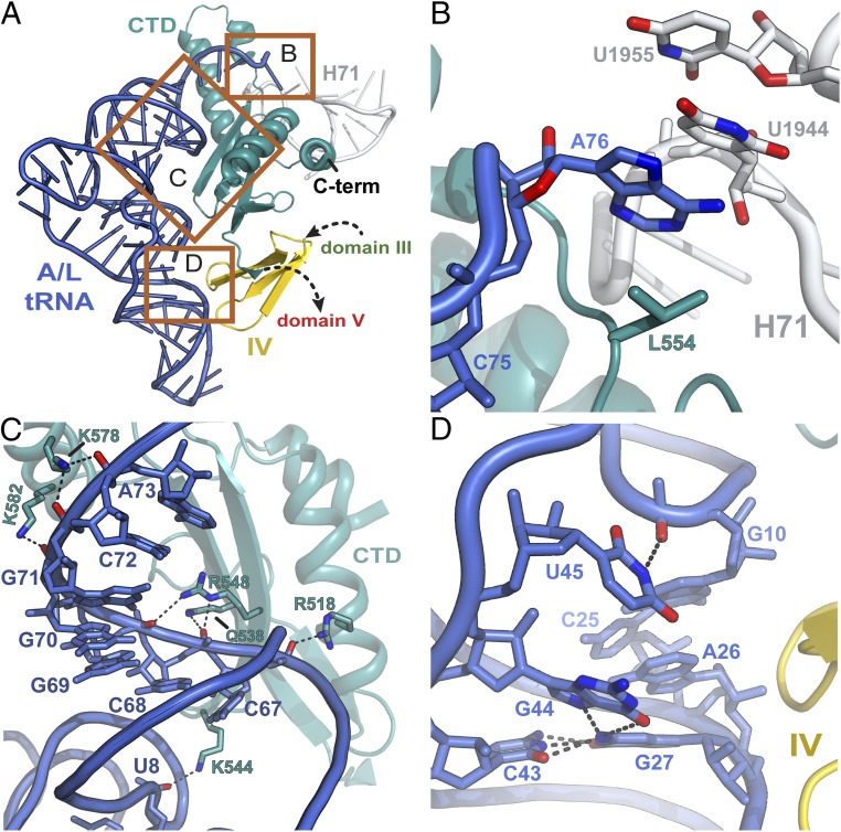 Fig. 4.