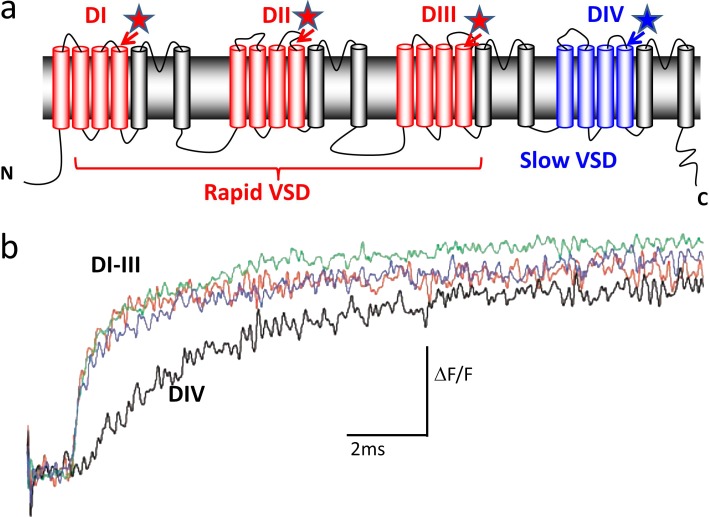 Figure 7.