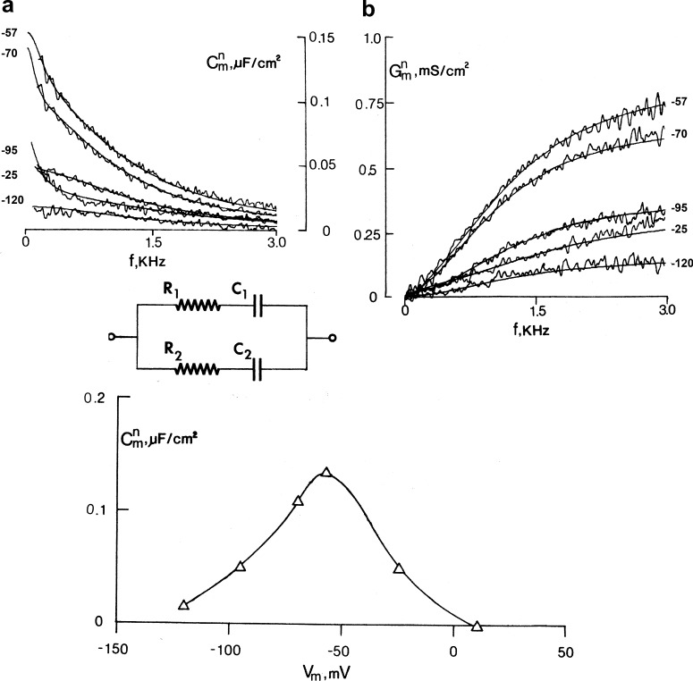 Figure 12.