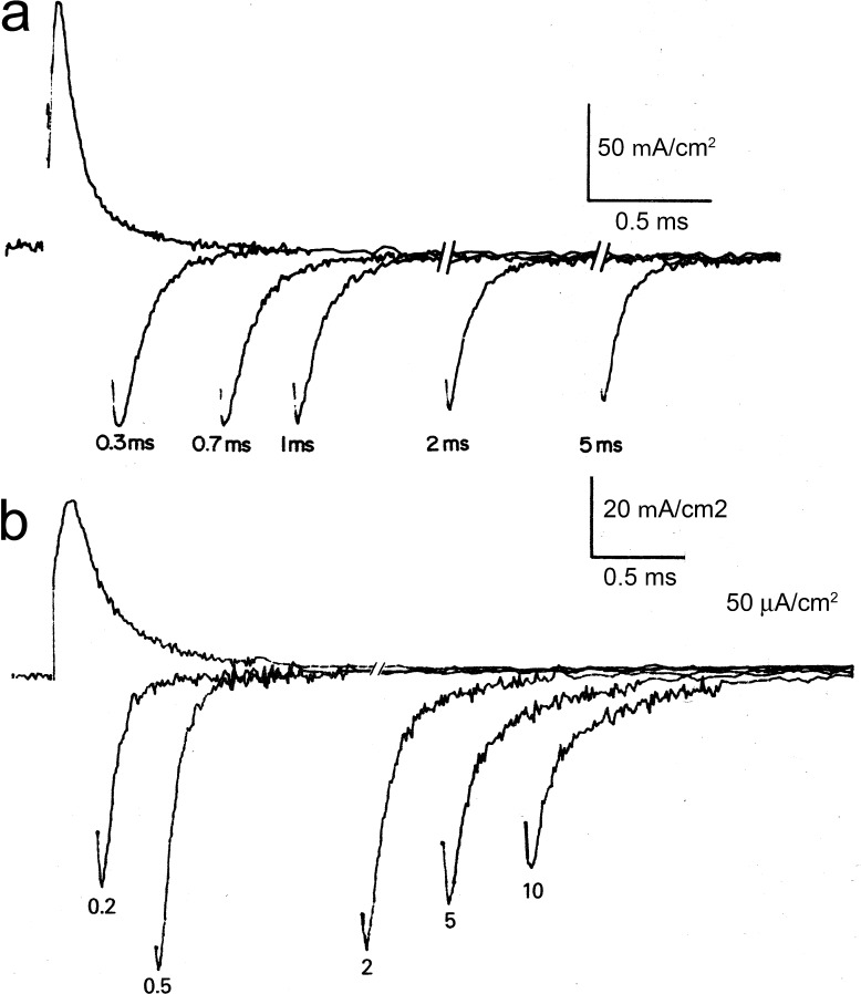 Figure 5.