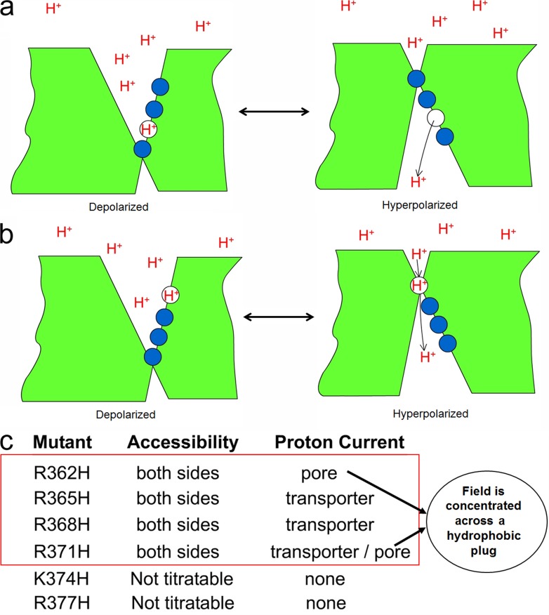 Figure 14.