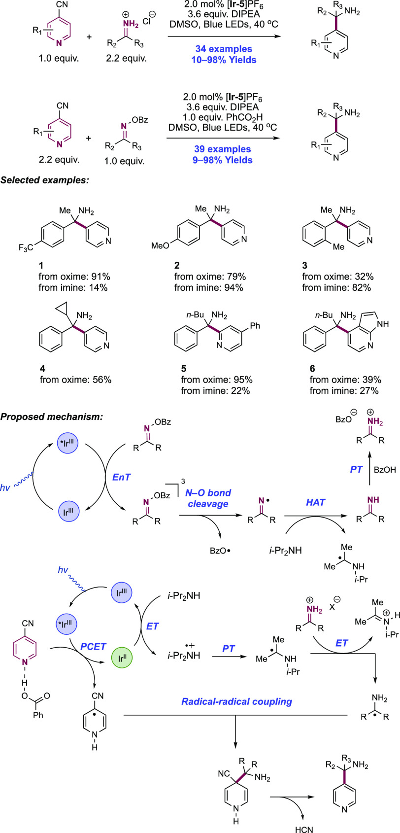 Scheme 358